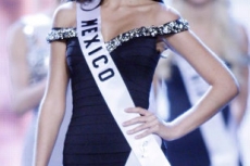 Miss Universe 2010 014