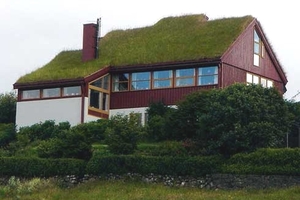 Крыши Копенгагена переживут массовое озеленение