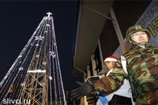 КНДР объявила рождественскую елку оружием психологической борьбы 