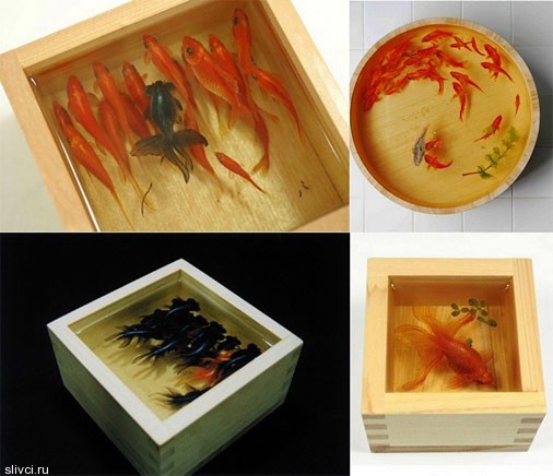 3D золотые рыбки, нарисованные в псевдо-аквариуме