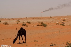 Саудовская Аравия: цена на нефть упала слишком низко