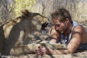 Как подружились человек и львица