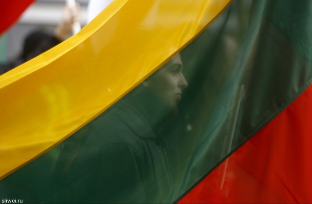 Литва ответила Лукашенко на «подготовку боевиков»